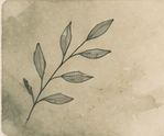 Logo 2 fanne.png